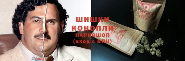 амф Ступино